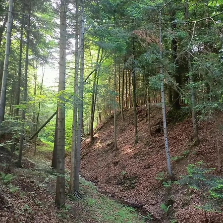 Drewniany Na Wynajem Beskid Wyspowy Dom wakacyjny *
